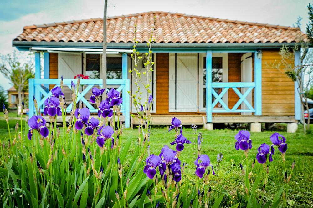 Domaine De Chadeyron Hotel Lagorce  Ngoại thất bức ảnh